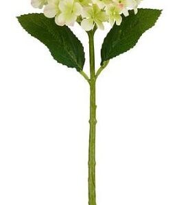 8720983045028-hortensia---vert---33cm