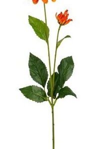 8720983044908-dahlia---orange---66cm