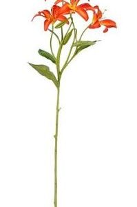 8720362929253-lis---orange---63cm