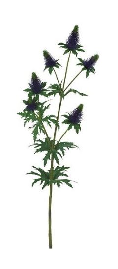 4024077646608-chardon---violet----90cm