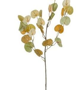 4024077772710-tige-de-eucalyptus---vert---73cm