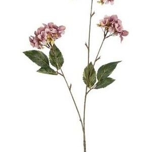 4024077826024-hortensia---violet----85cm