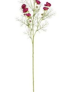 4024077759933-ranunculus---rouge-f---74cm