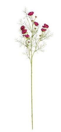 4024077759933-ranunculus---rouge-f---74cm