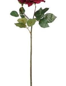 4024077825232-rose-anglaise---rouge---49cm