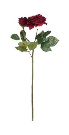 4024077825232-rose-anglaise---rouge---49cm