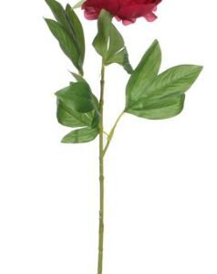 8718861157406-pivoine-fleur-artificielle---rose-fonce---h-76-cm