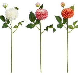 8720983583872-dahlia-orange-blanc-ou-rose--l56cm