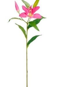 8720983299964-lis-rose---l67-cm