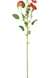 8720983299766-pensee-orange---l69-cm