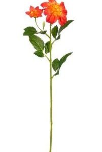 8720983299704-dahlia-orange---l59-cm