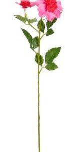 8720983299544-dahlia-rose---l59-cm