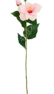 8720983299476-hibiscus-rose---l60-cm