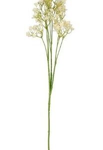 8720983071720-gypsophyla-creme---l68-cm