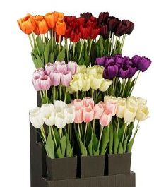 8720983070440-tulipe-bordeaux---l70-cm