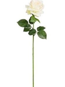 8720983070327-rose-creme-real-touch---l65-cm