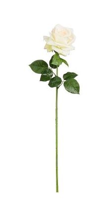 8720983070327-rose-creme-real-touch---l65-cm
