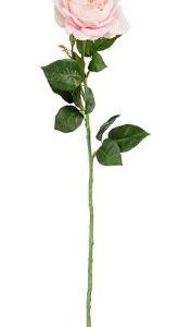 8720983070204-rose-rose-real-touch---l68-cm