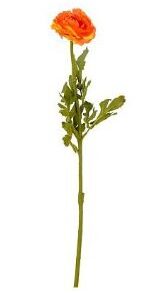 8720362929376-renoncule-orange---l56-cm