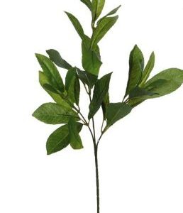 8718861049688-lauriel-vert---l58-cm