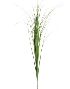 8712293101754-roseau-vert---l99-cm