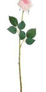 4024077755300-rose-rose-clair-diamant---l52-cm